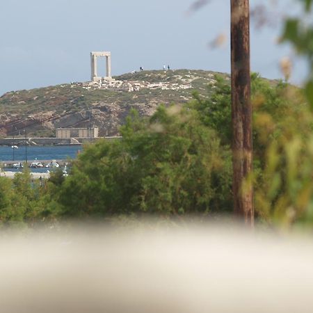Apartament Vasiliki'S House Naxos City Zewnętrze zdjęcie