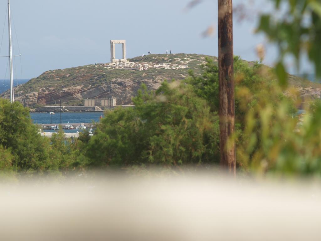 Apartament Vasiliki'S House Naxos City Zewnętrze zdjęcie